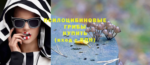 MDMA Premium VHQ Карталы