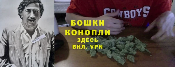 мдпв Карпинск