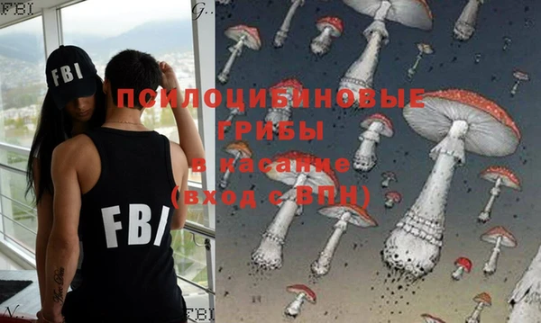 экстази Касимов