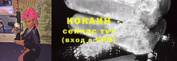 мдпв Карпинск