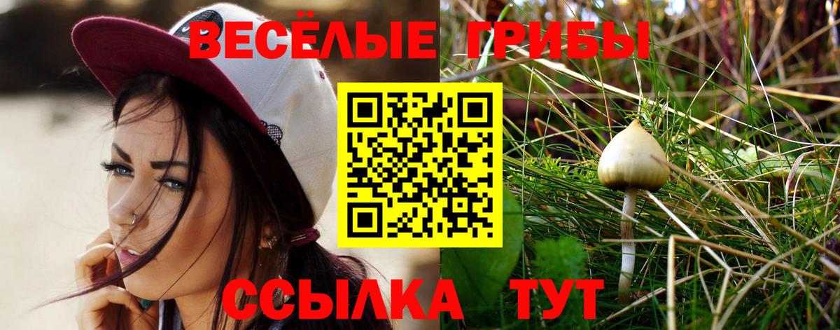 Псилоцибиновые грибы прущие грибы  Псилоцибиновые грибы прущие грибы  Вход с VPN  Новочеркасск 